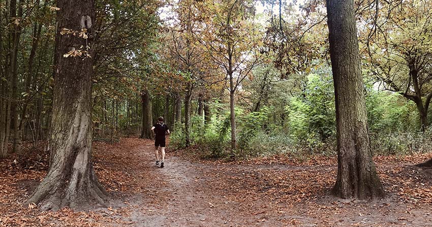 test produits dans le bois