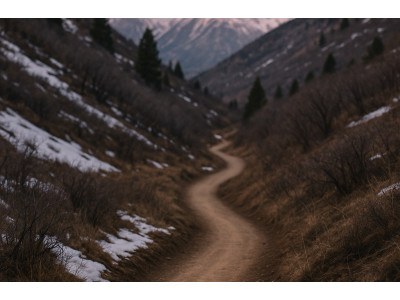 Sport en Solidariteit: Hoe Triatleten en Trailrunners Vechten tegen Hart- en Vaatziekten