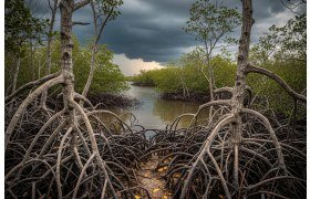 Bruit rose et sommeil profond : le secret des pros pour surcharger sa récupération