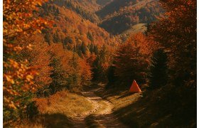 Guillaume Baradel Survole le Trail des Marcaires : Analyse d'une Performance Magistrale