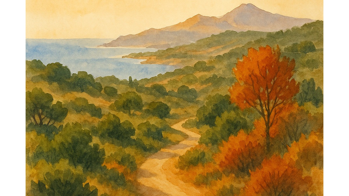 Actualidad deportiva en la Axarquía: vida activa entre atletas y naturaleza