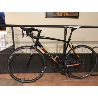 Giant Contend 1 2018