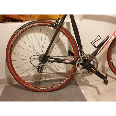 Time Edge First - Carbone intégral