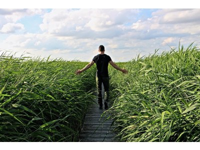 Discover the Importance of a Recovery Week in Your Training Plan