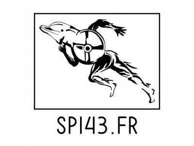 Sport Performance Insertion 43