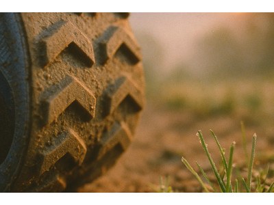 Trail du Circuit de la Sure à Voiron : Une Course Qui Rassemble Toutes les Générations