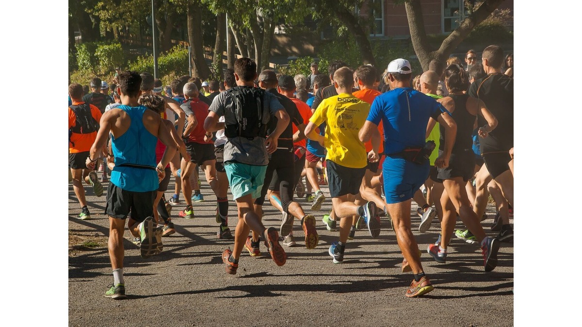 Descubre todo el equipo imprescindible para correr en trail: zapatillas, mochila, frontal, ropa técnica, nutrición... sal bien equipado y seguro.
