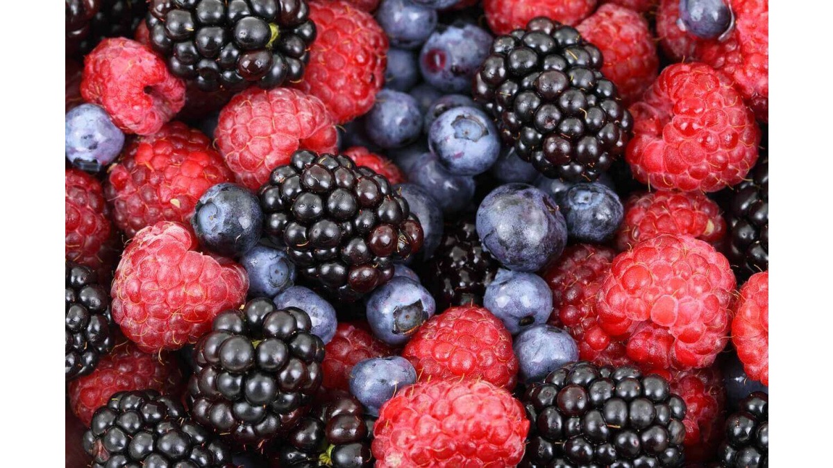 Descubra dicas essenciais de nutrição para todos os atletas, do triatlo à corrida de trilha. Alimente-se de forma inteligente para alcançar seus objetivos.